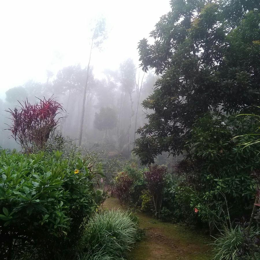 Hill Side Estate Apartment Madikeri Luaran gambar